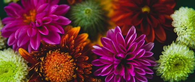 将在主场对 将在主场对