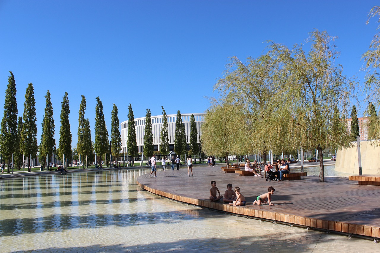 申京的表现 申京的表现