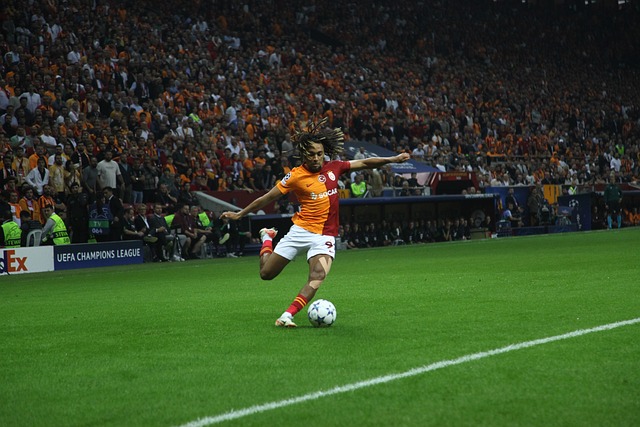 文班亚马的 文班亚马的