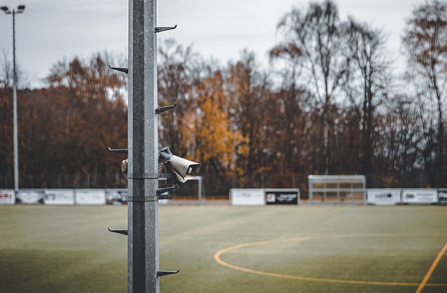 是极少数球 是极少数球