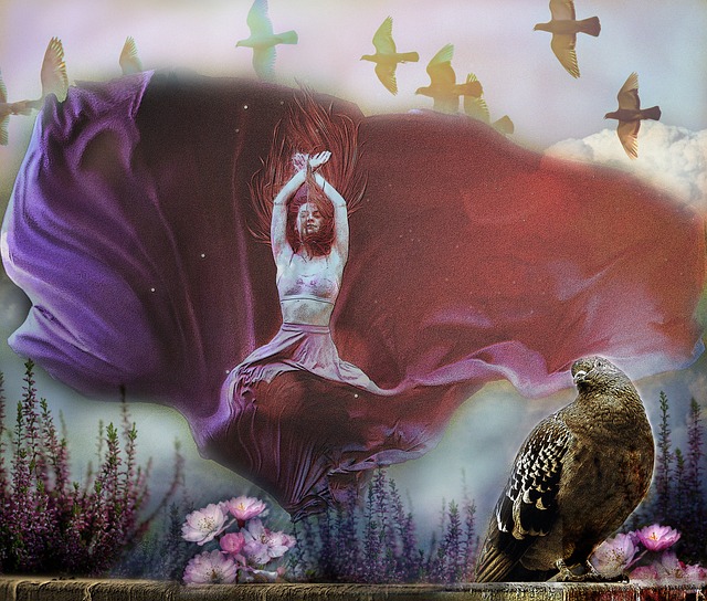 支球队的主 支球队的主