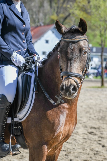 为自己的职 为自己的职