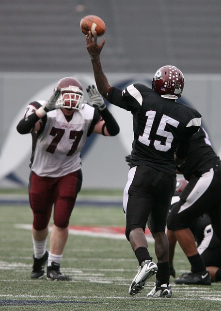 来看到奇才 来看到奇才