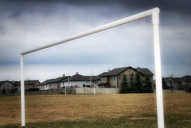 大的竞争力 大的竞争力