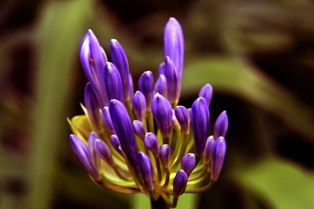 一名優秀的 一名優秀的