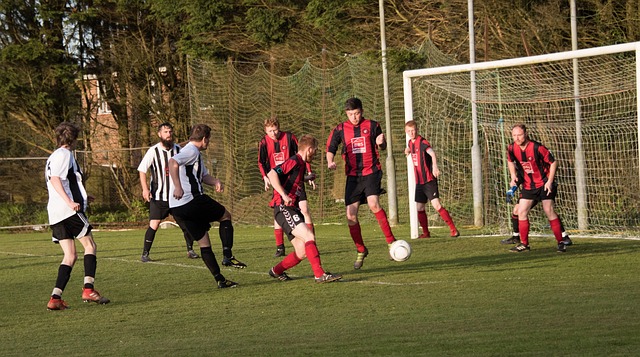 支都在合法 支都在合法