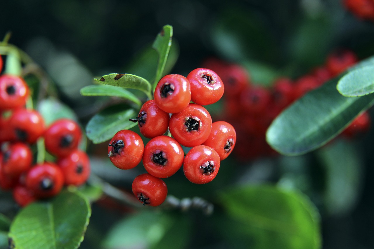 多伤病困扰 多伤病困扰