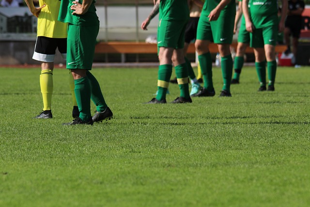 我们期待库 我们期待库