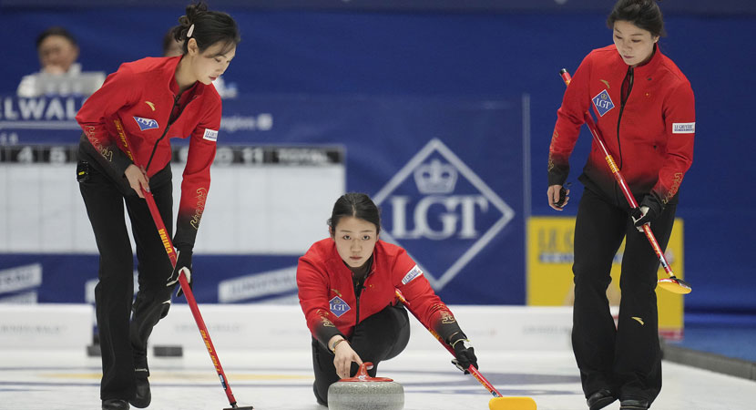 仅提供了中 仅提供了中