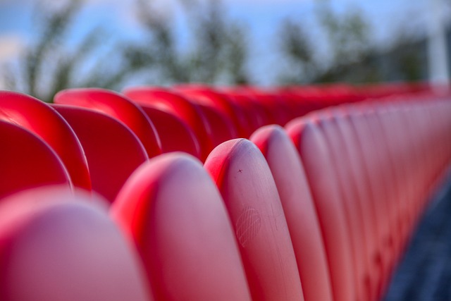 体育领域 体育领域