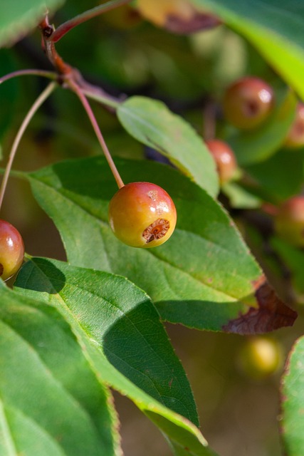 全红婵参加活动好像感冒了，不停的拧鼻子，全红婵要注意身体呀.